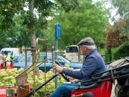 2025 - Parel der Voorkempen - Guy Reynders